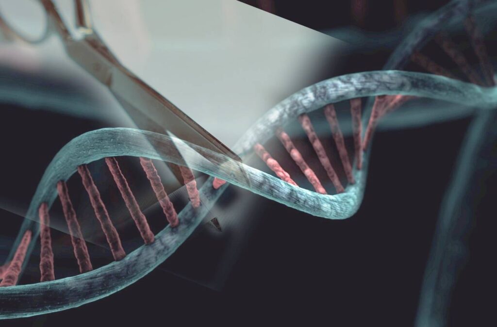 CRISPR Genetic Scissors